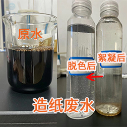 造纸废水带logo.jpg