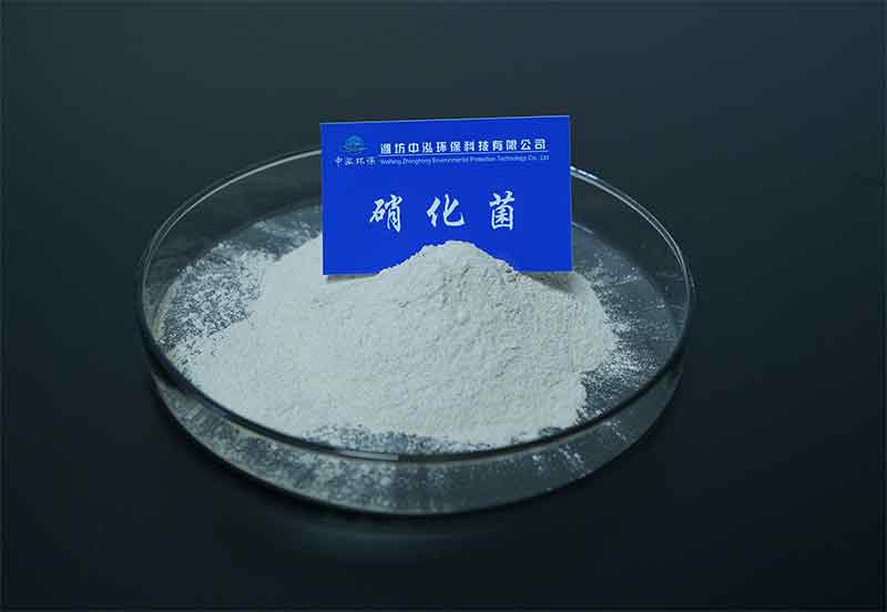 硝化細菌的作用