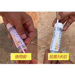 污水氨氮超标投菌三天出水达标