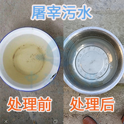 屠宰污水投菌提标