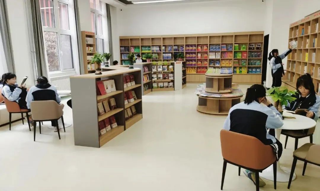 1774533994326070037.jpg 1.3.jpg