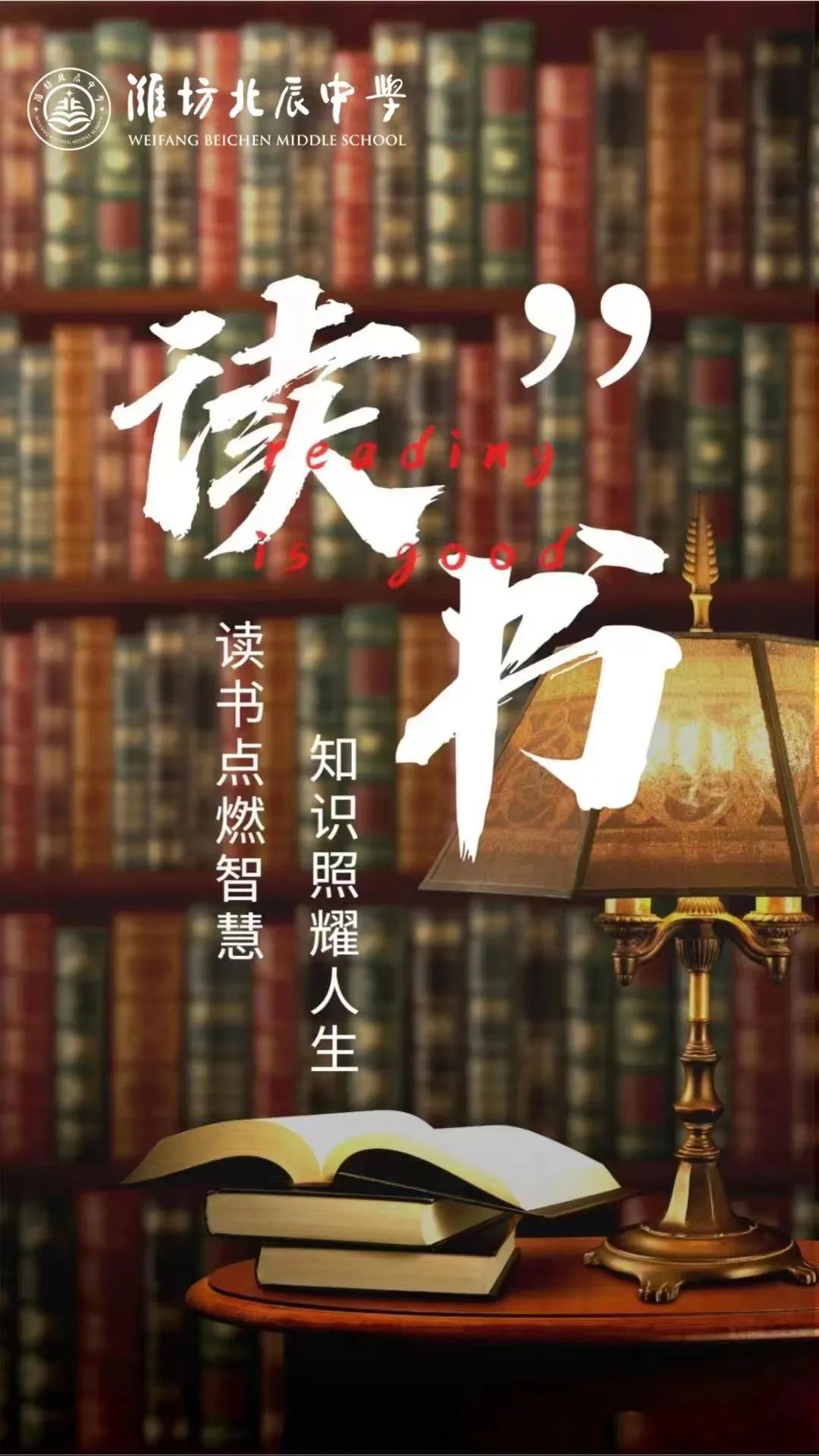 1774534006165089959.jpg 1.1.jpg