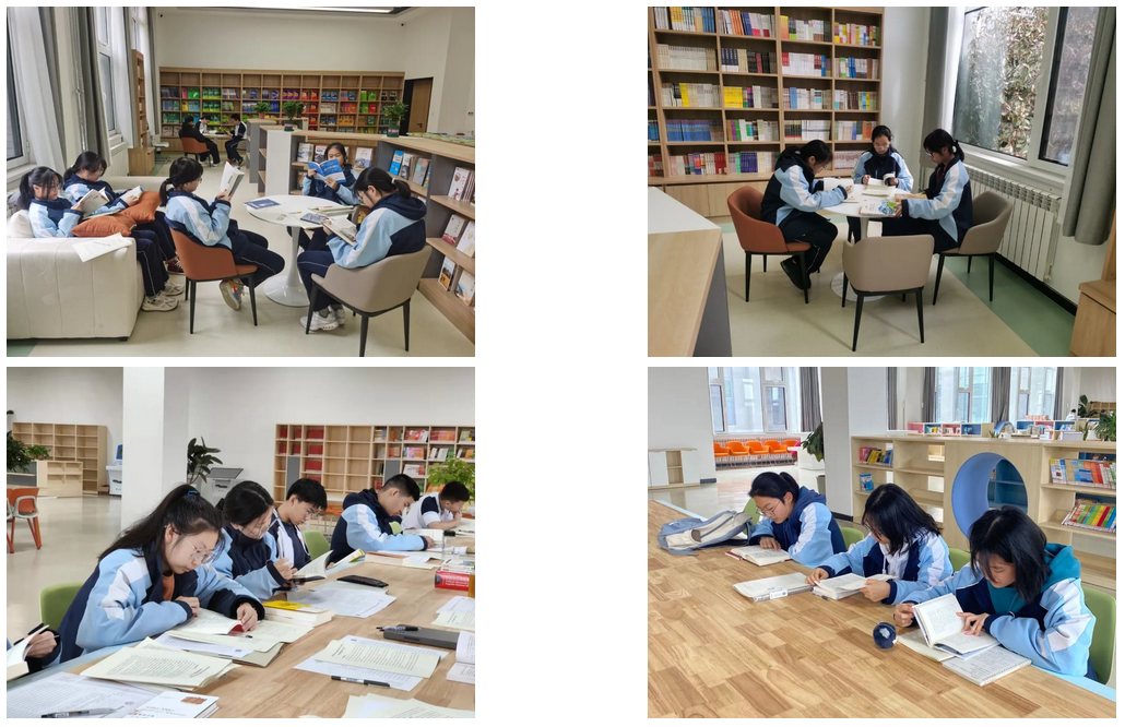 1774534014269020082.png 1.2.png